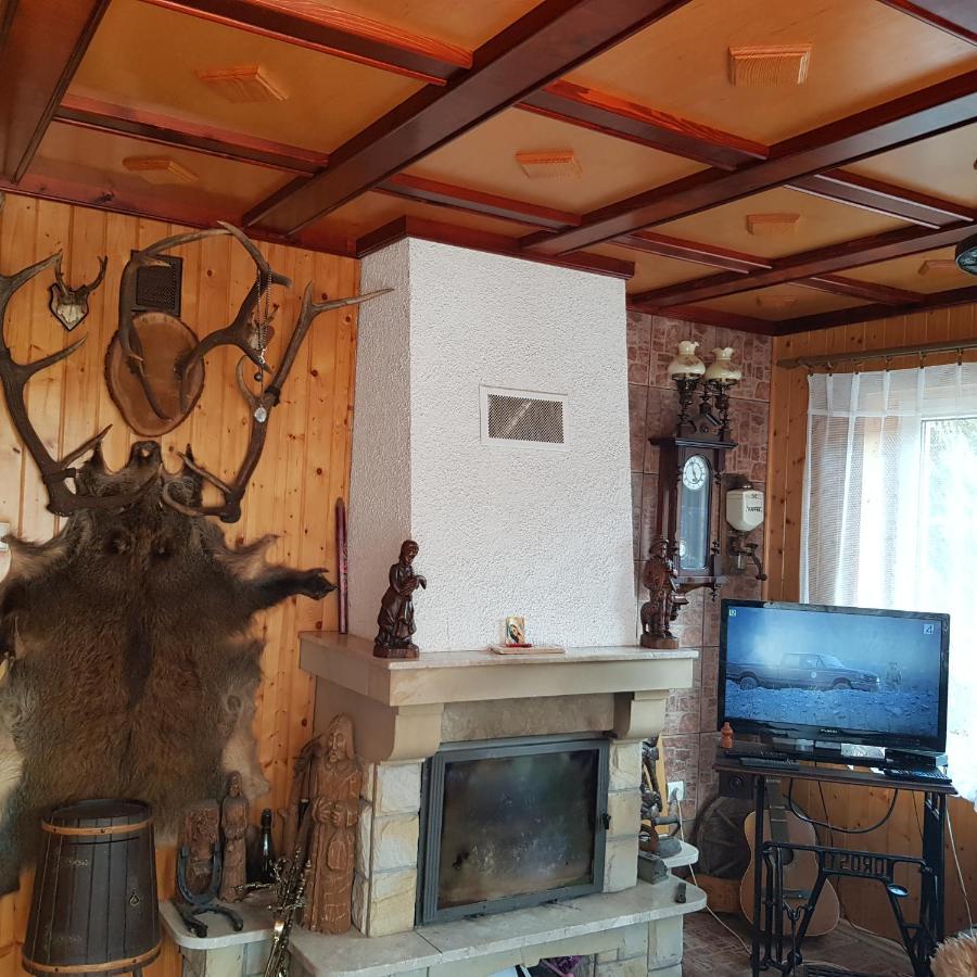 Domek Nad Rzeczka Villa Zabnica ภายนอก รูปภาพ